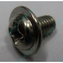 Компьютерный винт "малый" PW-M3x6mm (Мурманск)