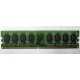 Модуль оперативной памяти 4096Mb DDR2 Patriot PSD24G8002 pc-6400 (800MHz)  (Мурманск)