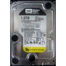 НЕРАБОЧИЙ жесткий диск 1Tb WD RE3 WD1002FBYS 32Mb cache SATA (Мурманск)