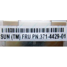 Серверная память SUN (FRU PN 371-4429-01) 4096Mb (4Gb) DDR3 ECC в Мурманске, память для сервера SUN FRU P/N 371-4429-01 (Мурманск)