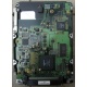 Жесткий диск 18.4Gb Quantum Atlas 10K III U160 SCSI (Мурманск)