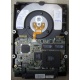 Жесткий диск 18.2Gb IBM Ultrastar DDYS-T18350 Ultra3 SCSI (Мурманск)