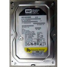 Жесткий диск 160Gb WD WD1602ABKS SATA (Мурманск)