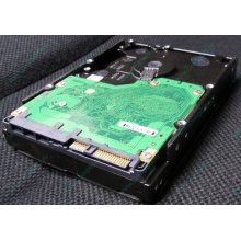 Жесткий диск 600Gb 15k Dell 9FN066-008 6G SAS ( Seagate Cheetach ST3600057SS 15K.7) - Мурманск