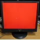Монитор 19" ViewSonic VA903b (1280x1024) есть битые пиксели (Мурманск)
