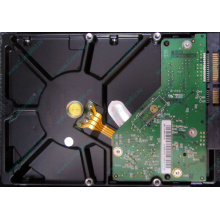 Б/У жёсткий диск 1Tb Western Digital WD10EVVS Green (WD AV-GP 1000 GB) 5400 rpm SATA (Мурманск)