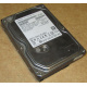HDD 500Gb Hitachi HDS721050DLE630 донор на запчасти (Мурманск)