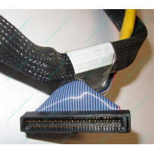 Кабель SCSI HP 166298-037 для HP ML370 G4 (Мурманск)