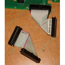 6017B0045701 Шлейф 24 pin для Intel C74974-401 T0043401-B01 корпуса SR2400 (Мурманск)