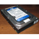 Жесткий диск 500Gb WD WD5000AAKX HP 634605-003 613208-001 7.2k SATA (Мурманск)