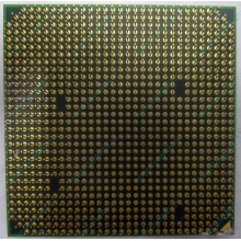 Процессор AMD Athlon 64300+ (1.8GHz) ADA3000IAA4CN s.AM2 (Мурманск)