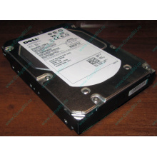 Жесткий диск 300Gb 15k Dell 9CH066-050 ST3300656SS Cheetah 15K.6 6G SAS (Мурманск)